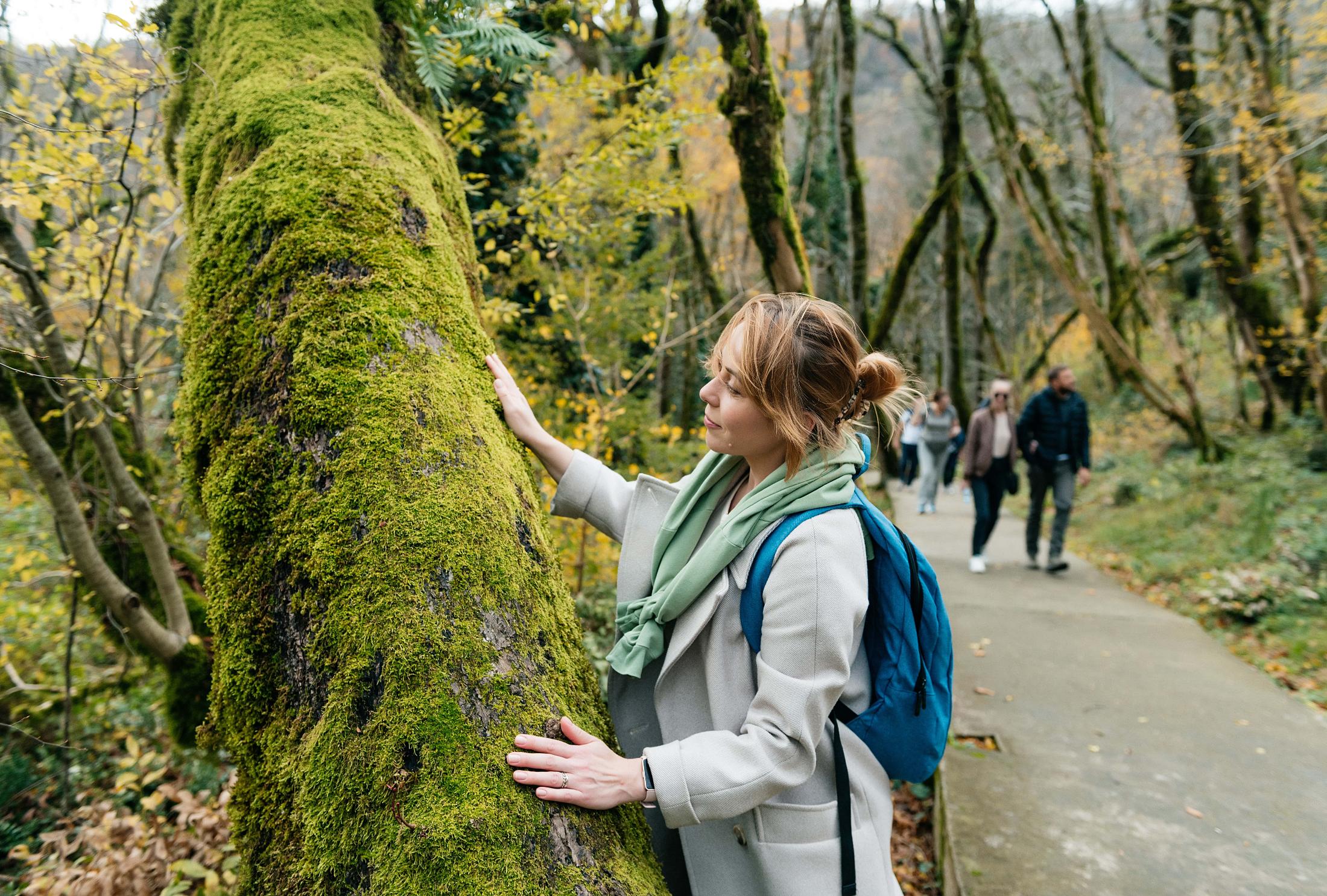 Премия HEBI «Туризм будущего» 2026 — новые горизонты путешествий о деловом туризме mice майс