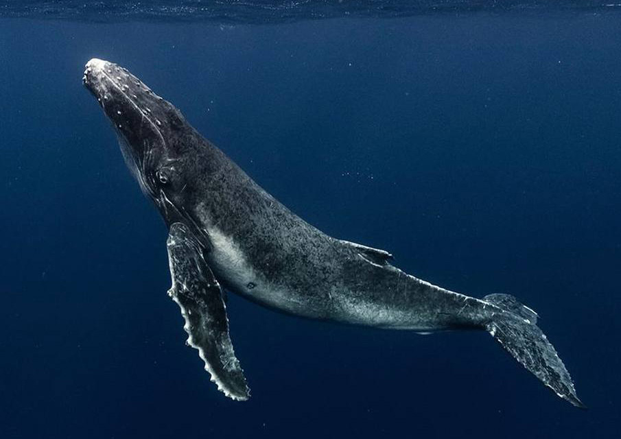 ГЛУБИНА - то, что нужно миру сейчас о деловом туризме mice майс