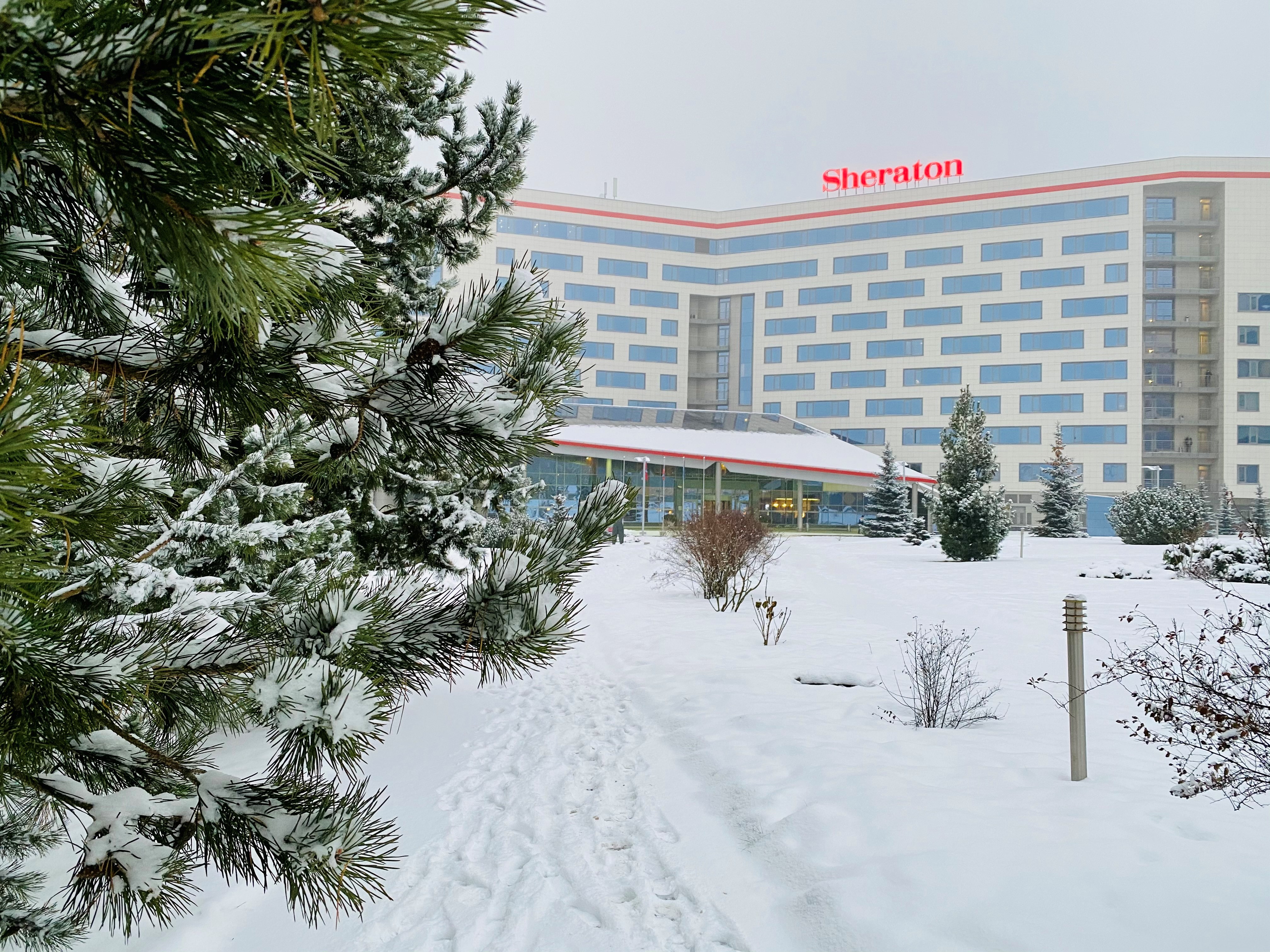 Встречайте Новый 2023 Год в отеле Sheraton Skypoint Luxe! о деловом туризме mice майс