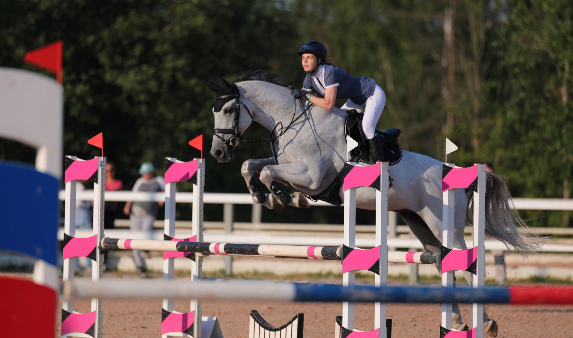 "Иппосфера": грандиозная конная выставка о деловом туризме mice майс