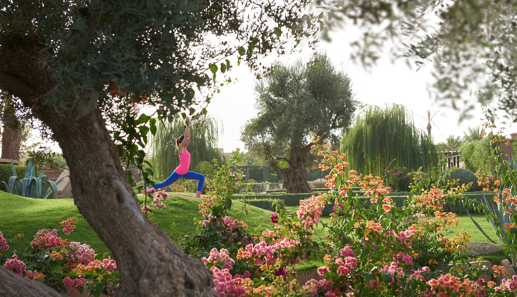 Тренды здорового образа жизни в 2020 году – поговорим об этом? о деловом туризме mice майс