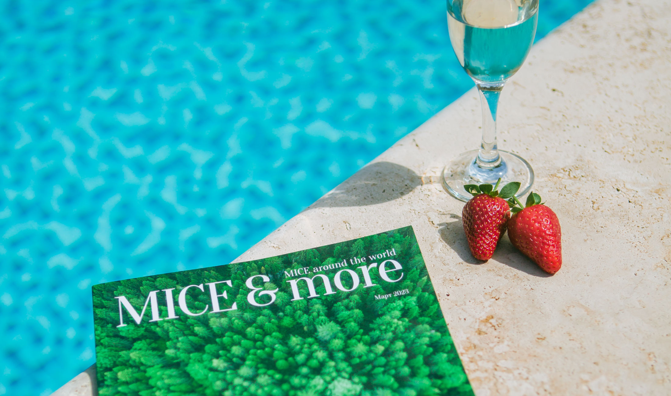 Годовая подписка на MICE&more: теперь с онлайн оплатой о деловом туризме mice майс
