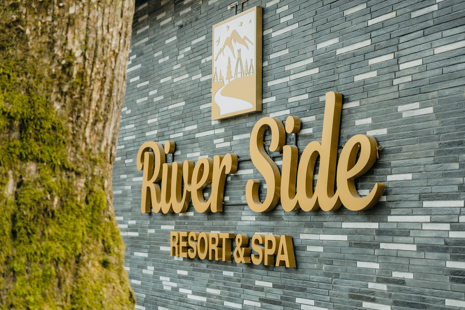 River Side Resort & SPA: сказка реликтового леса о деловом туризме mice майс