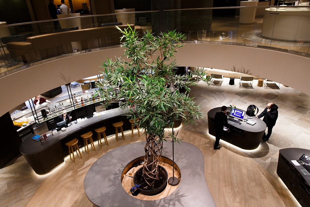 Майс-встречи в Москва-сити