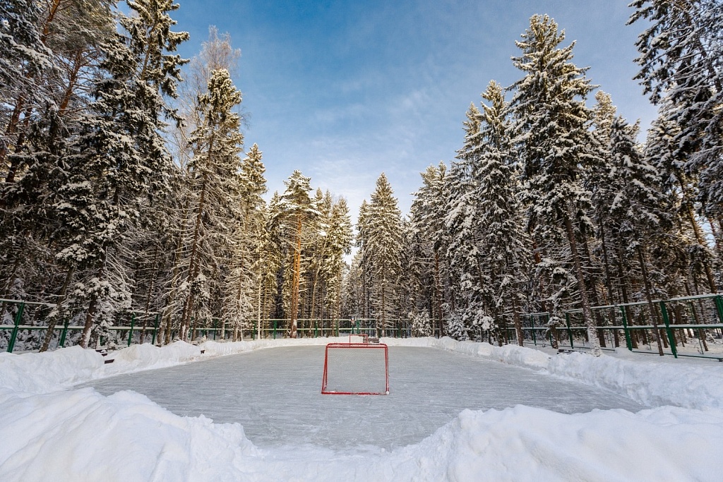 Зимнее Коприно